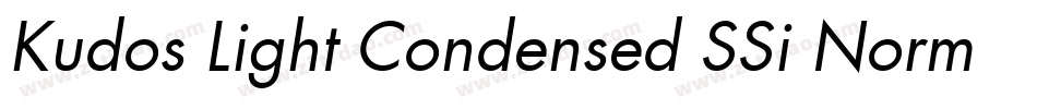 Kudos Light Condensed SSi Normal字体转换